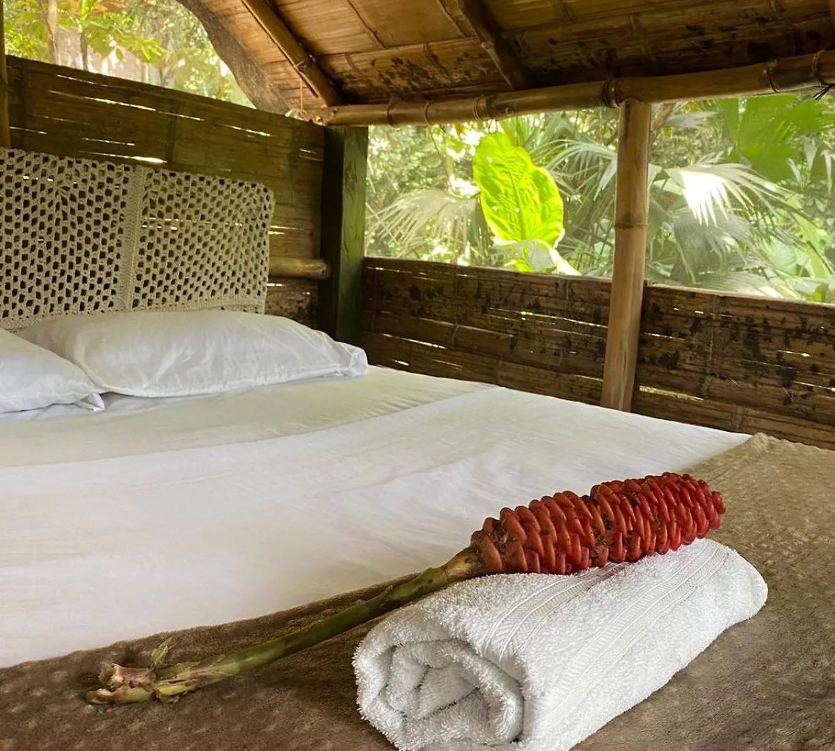 Hostal Dos Quebradas Santa Marta  Santa Marta (Magdalena)